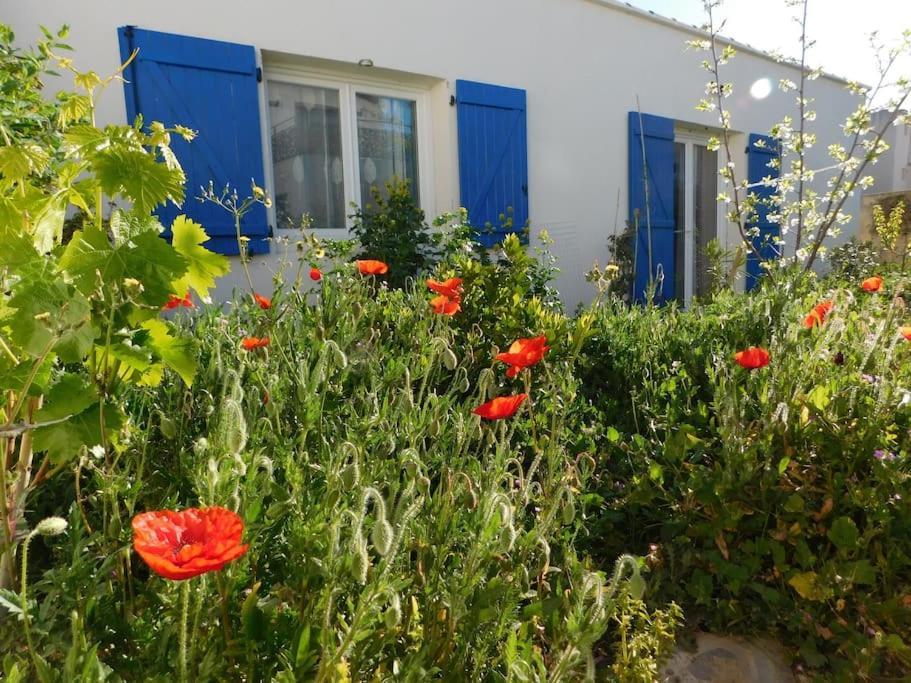 Maisonnette De Jardin Marsilia Exterior foto