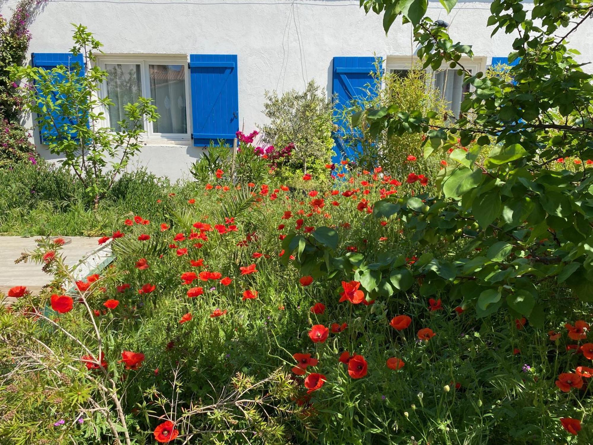 Maisonnette De Jardin Marsilia Exterior foto